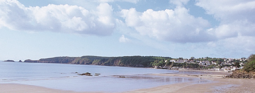 Luxury self catering lodge near Saundersfoot